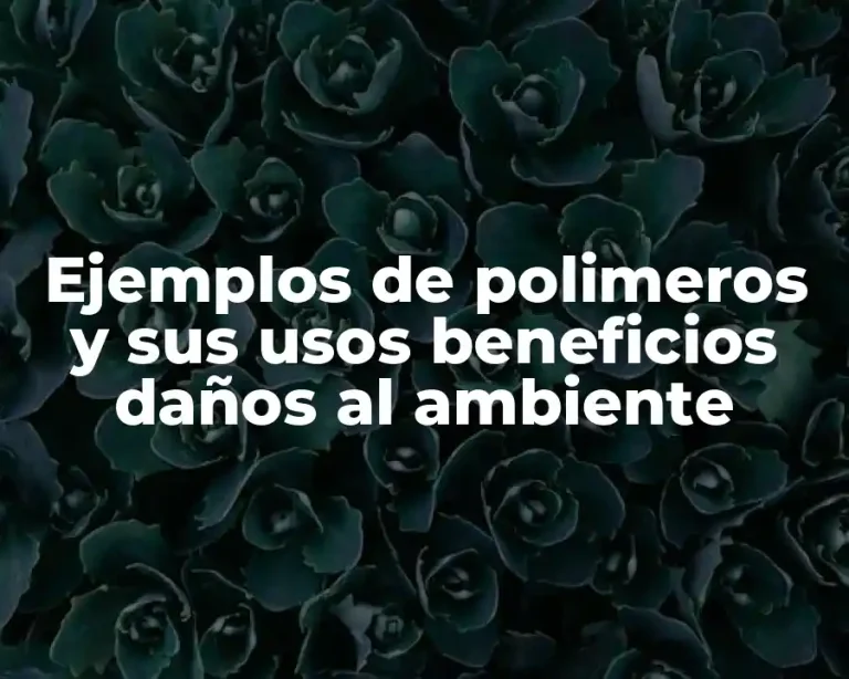 Ejemplos de polimeros y sus usos beneficios daños al ambiente