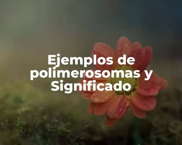 Ejemplos de polimerosomas y Significado