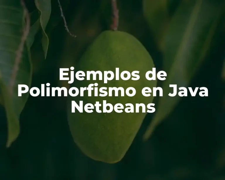 Ejemplos de Polimorfismo en Java Netbeans