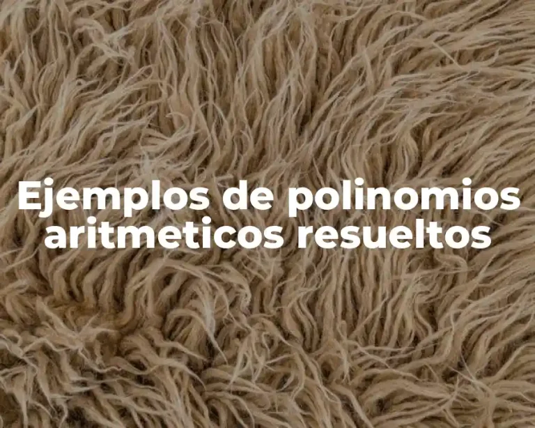 Ejemplos de polinomios aritmeticos resueltos