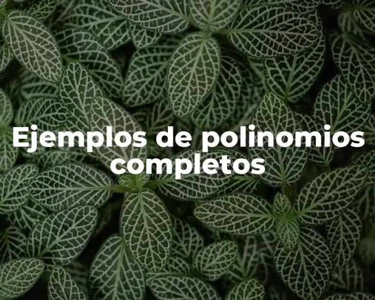 Ejemplos de polinomios completos