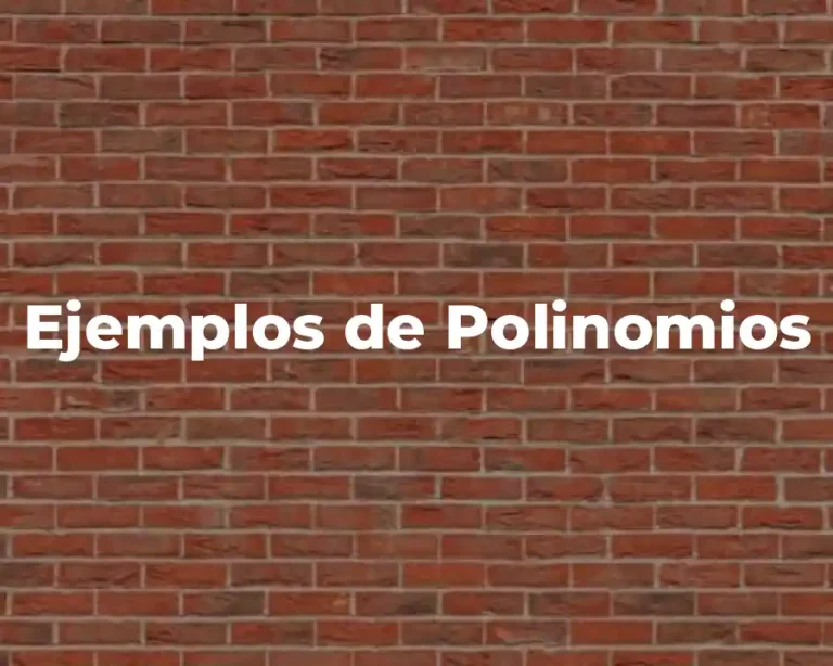 Ejemplos de Polinomios