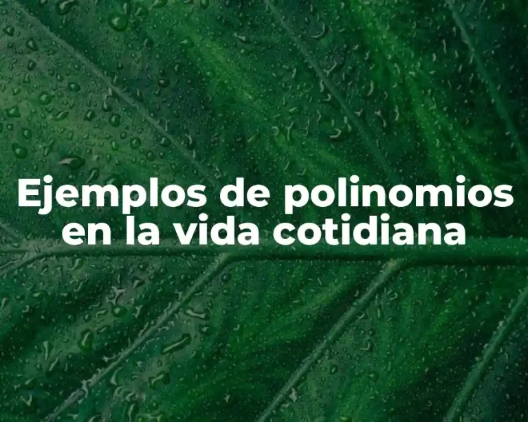 Ejemplos de polinomios en la vida cotidiana