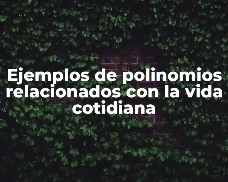 Ejemplos de polinomios relacionados con la vida cotidiana