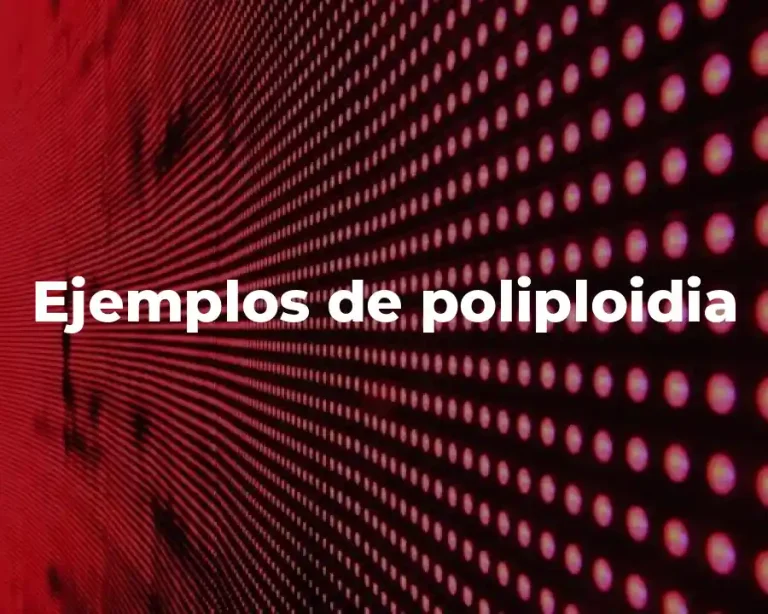 Ejemplos de poliploidia