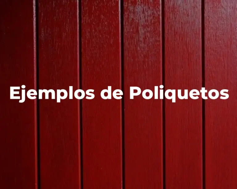 Ejemplos de Poliquetos