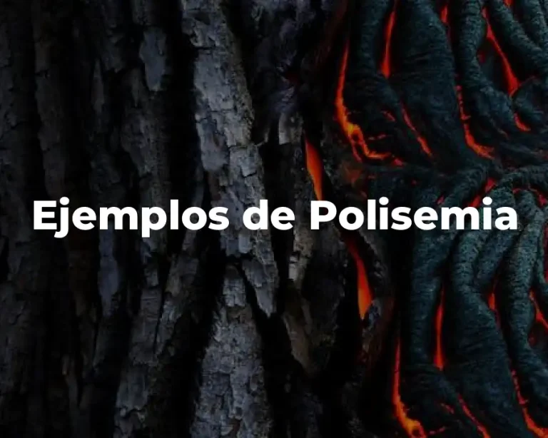 Ejemplos de Polisemia