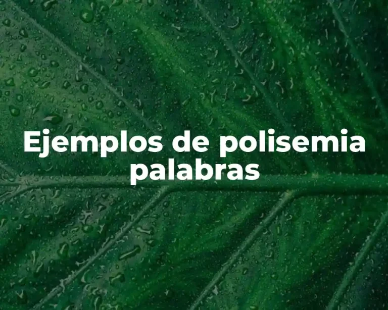 Ejemplos de polisemia palabras