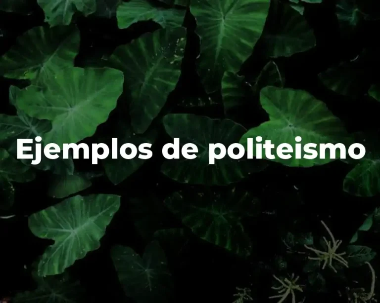 Ejemplos de politeismo
