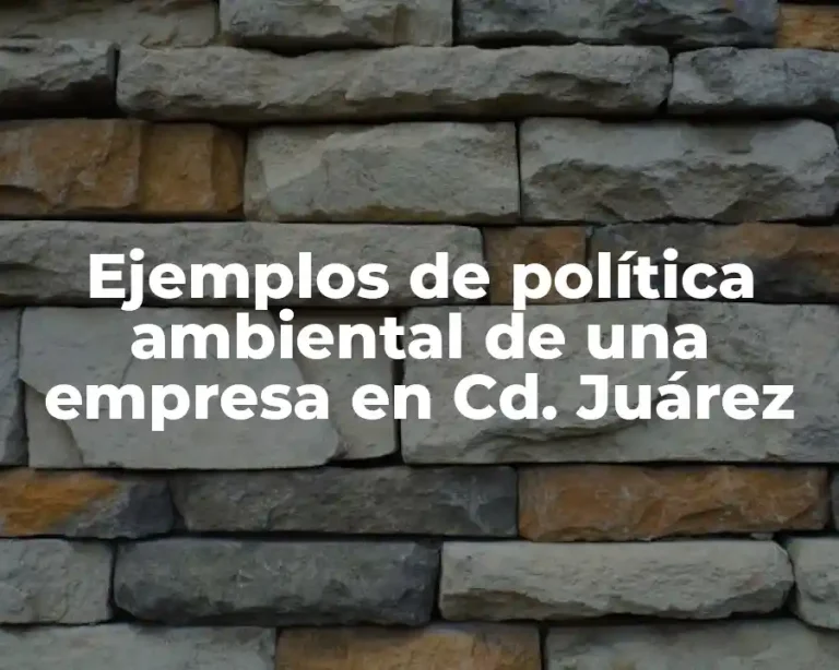 Ejemplos de política ambiental de una empresa en Cd. Juárez