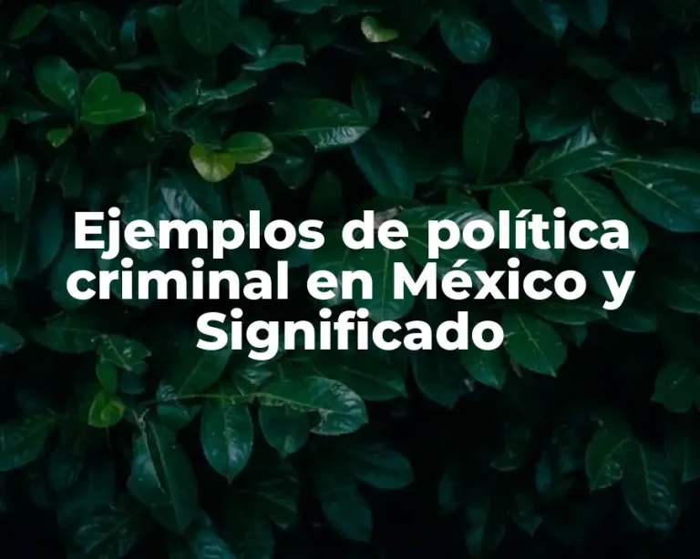 Ejemplos de política criminal en México y Significado