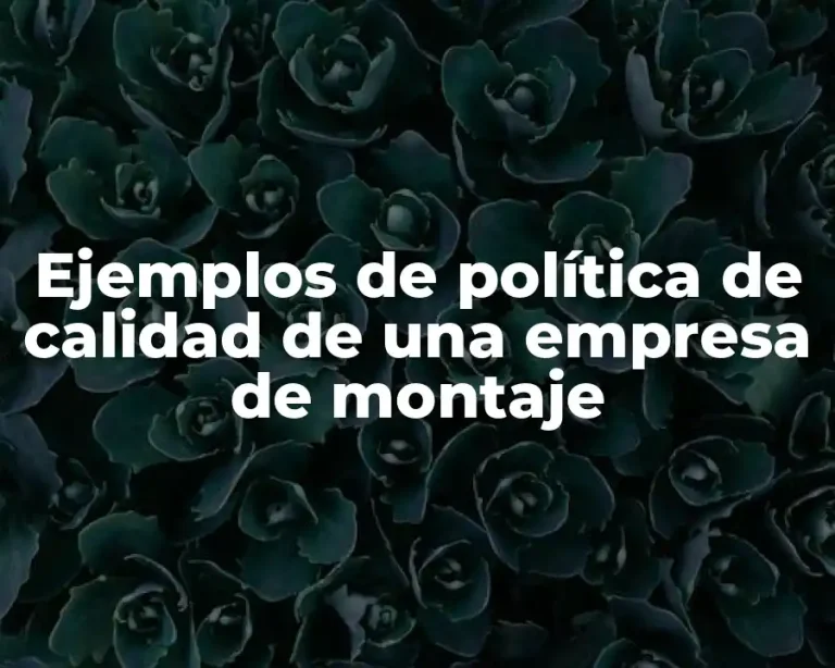 Ejemplos de política de calidad de una empresa de montaje