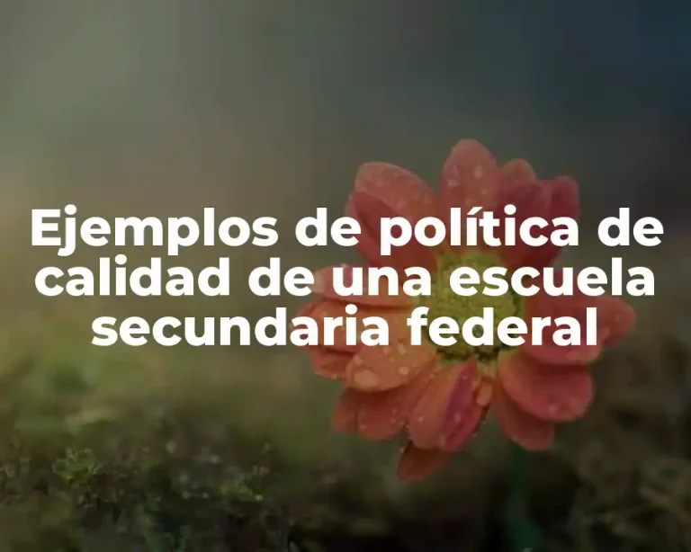 Ejemplos de política de calidad de una escuela secundaria federal