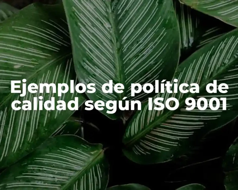 Ejemplos de política de calidad según ISO 9001