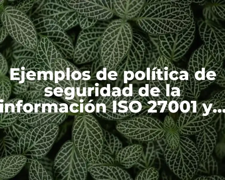 Ejemplos de política de seguridad de la información ISO 27001 y Significado