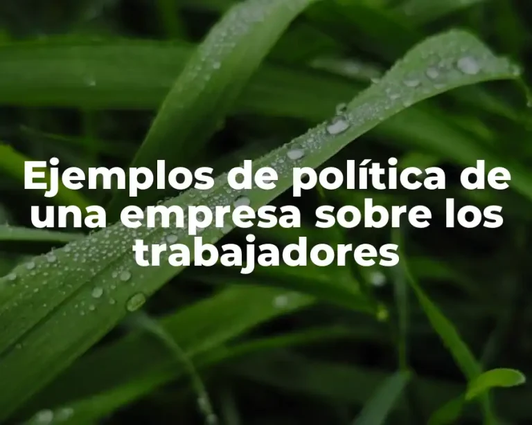 Ejemplos de política de una empresa sobre los trabajadores