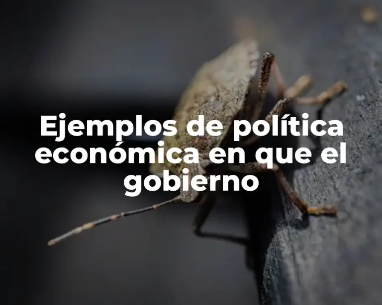 Ejemplos de política económica en que el gobierno