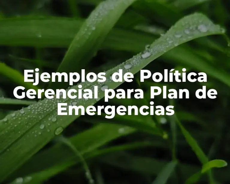 Ejemplos de Política Gerencial para Plan de Emergencias