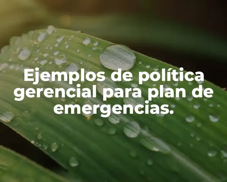 Ejemplos de política gerencial para plan de emergencias.