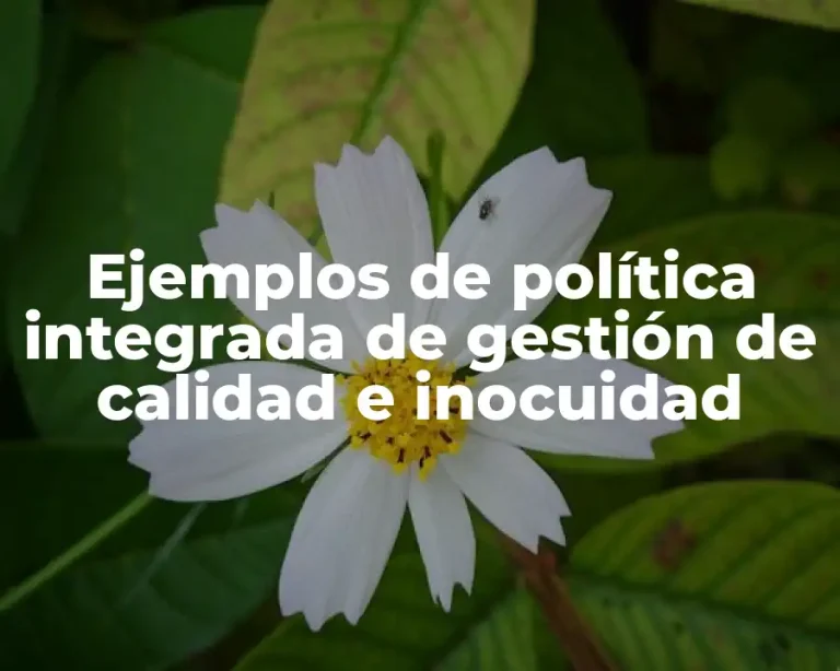 Ejemplos de política integrada de gestión de calidad e inocuidad