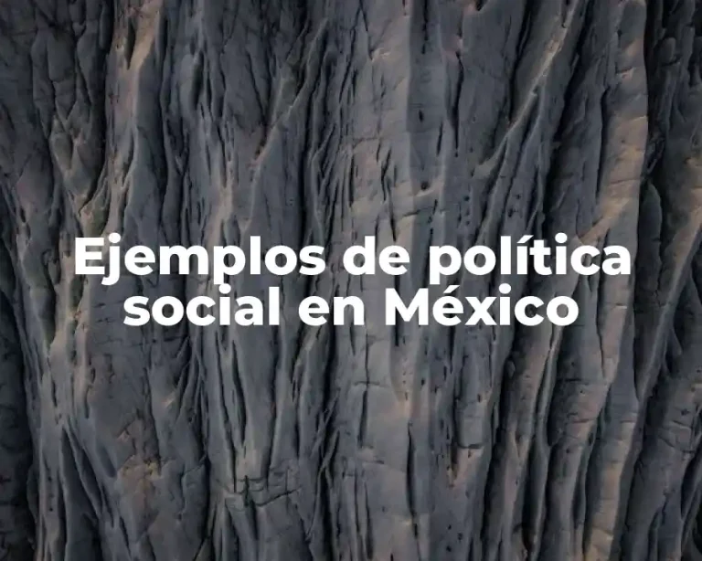 Ejemplos de política social en México