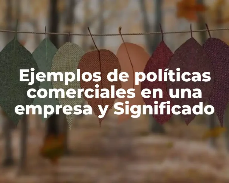 Ejemplos de políticas comerciales en una empresa y Significado