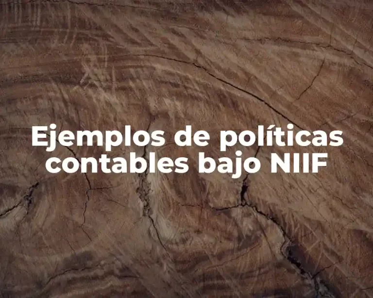 Ejemplos de políticas contables bajo NIIF