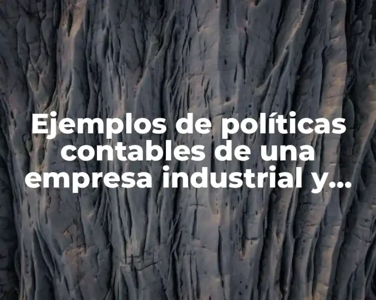 Ejemplos de políticas contables de una empresa industrial y Significado