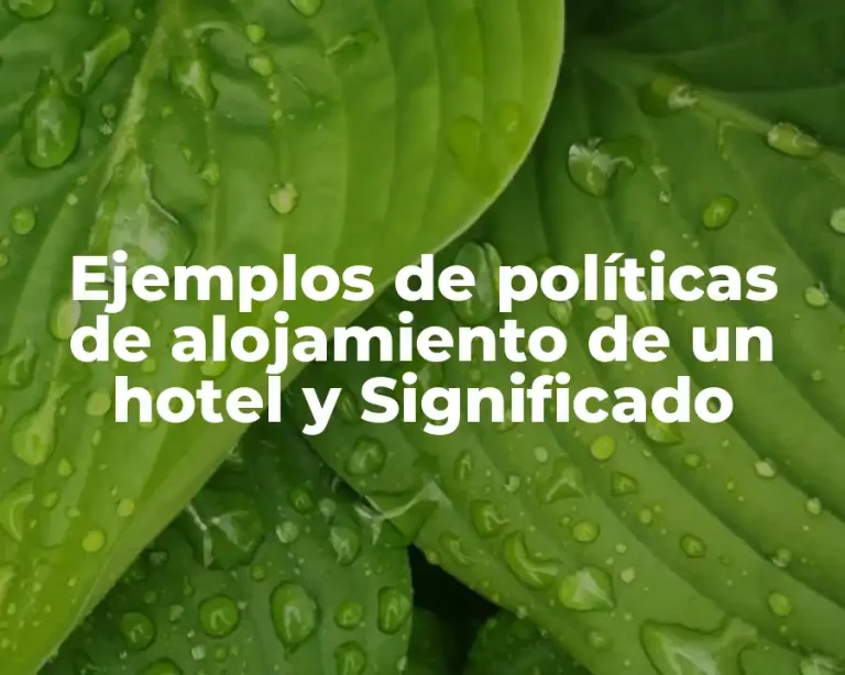 Ejemplos de políticas de alojamiento de un hotel y Significado