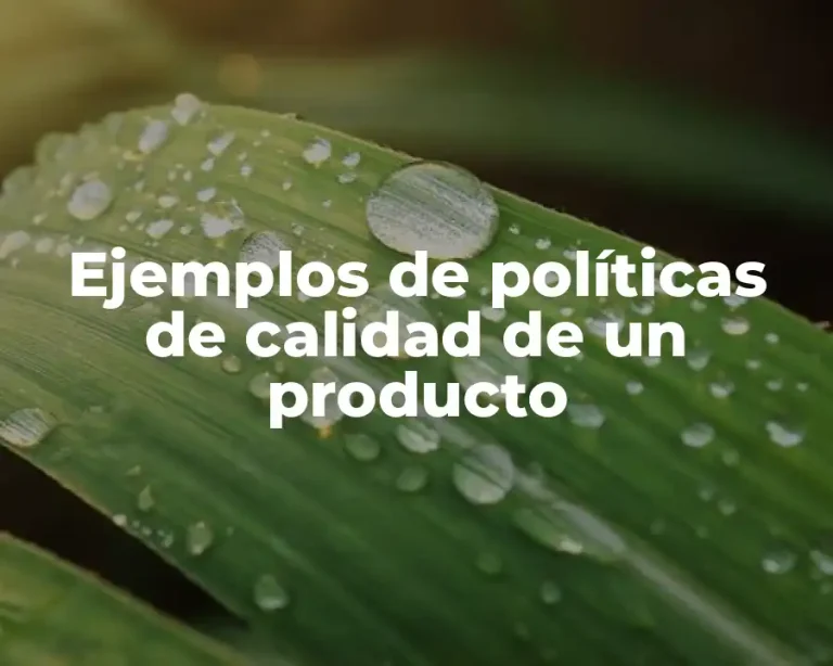Ejemplos de políticas de calidad de un producto