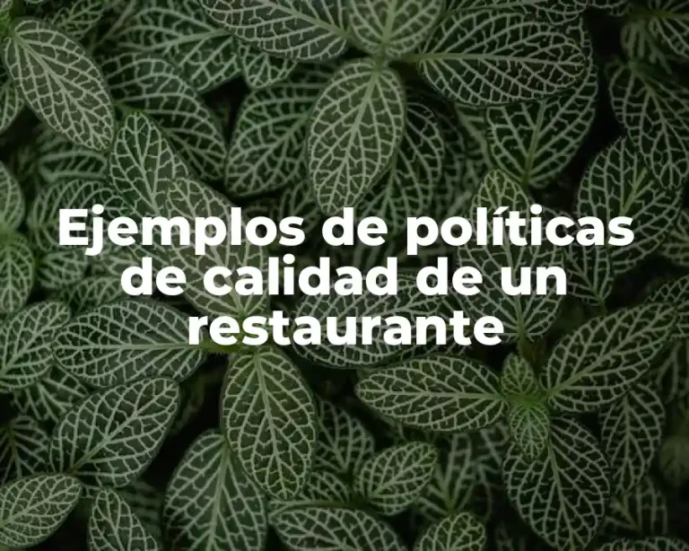Ejemplos de políticas de calidad de un restaurante