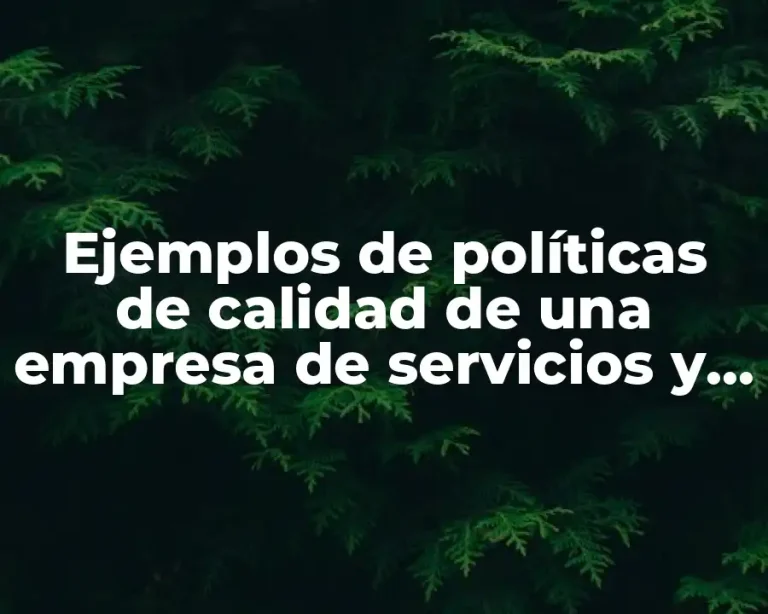 Ejemplos de políticas de calidad de una empresa de servicios y Significado