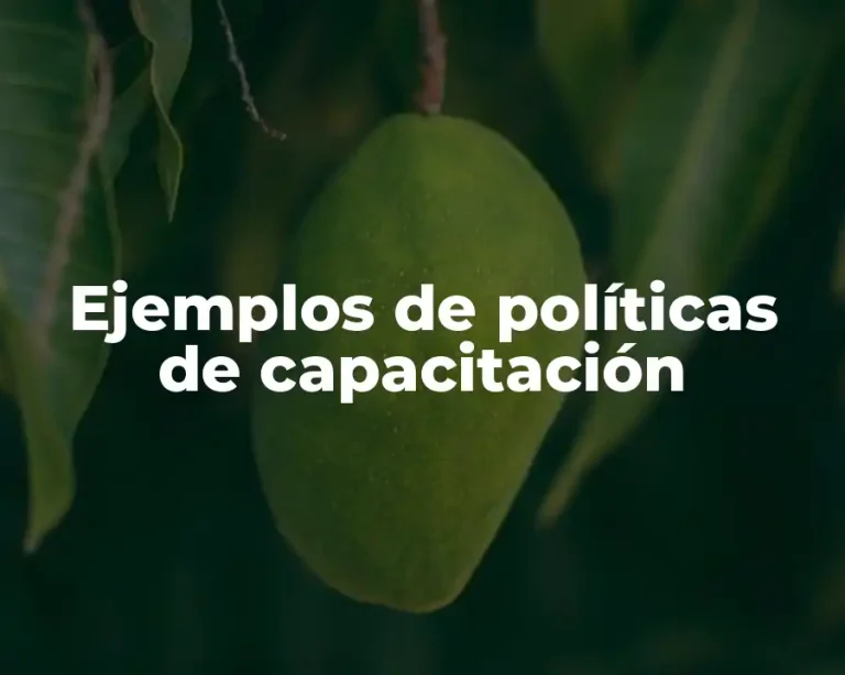 Ejemplos de políticas de capacitación
