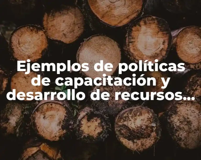 Ejemplos de políticas de capacitación y desarrollo de recursos humanos