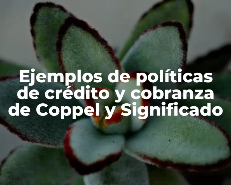 Ejemplos de políticas de crédito y cobranza de Coppel y Significado