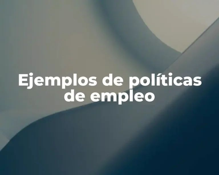 Ejemplos de políticas de empleo