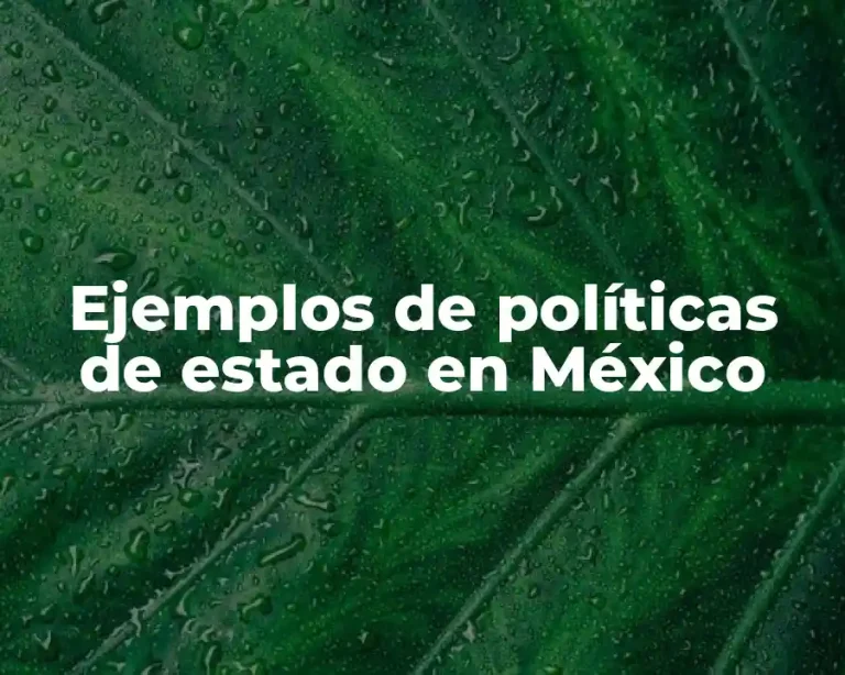 Ejemplos de políticas de estado en México