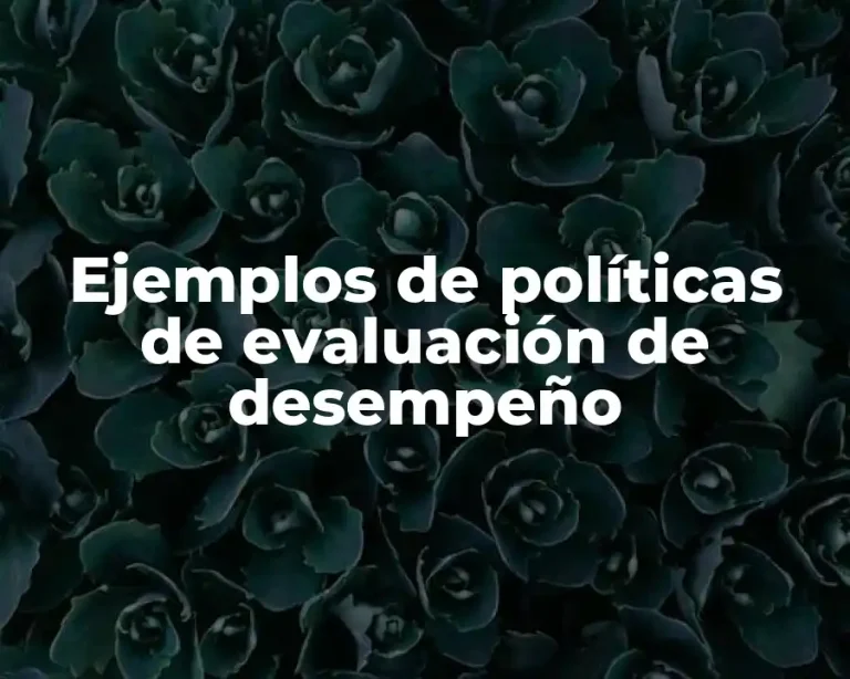 Ejemplos de políticas de evaluación de desempeño