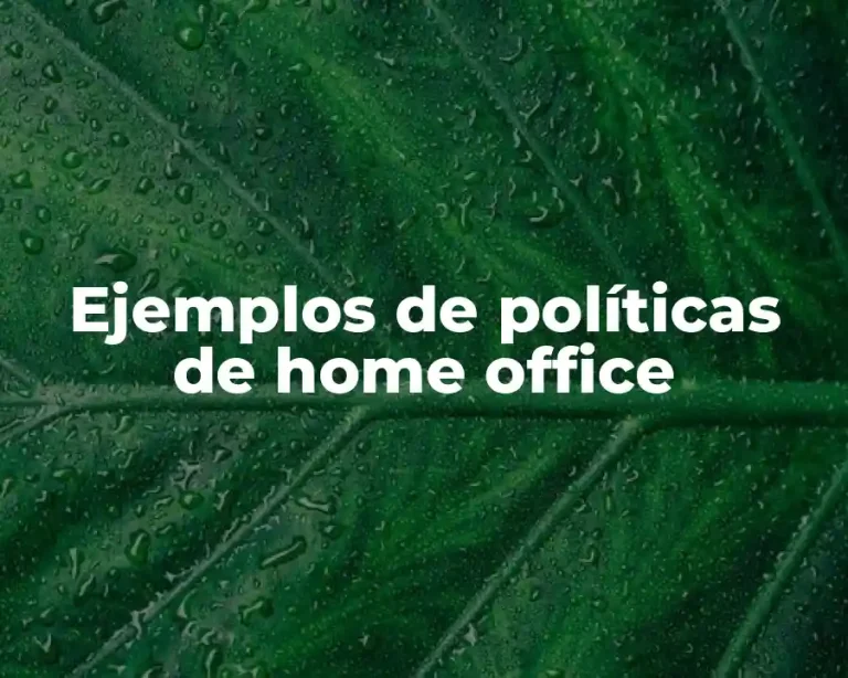 Ejemplos de políticas de home office