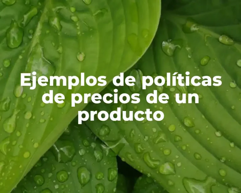 Ejemplos de políticas de precios de un producto