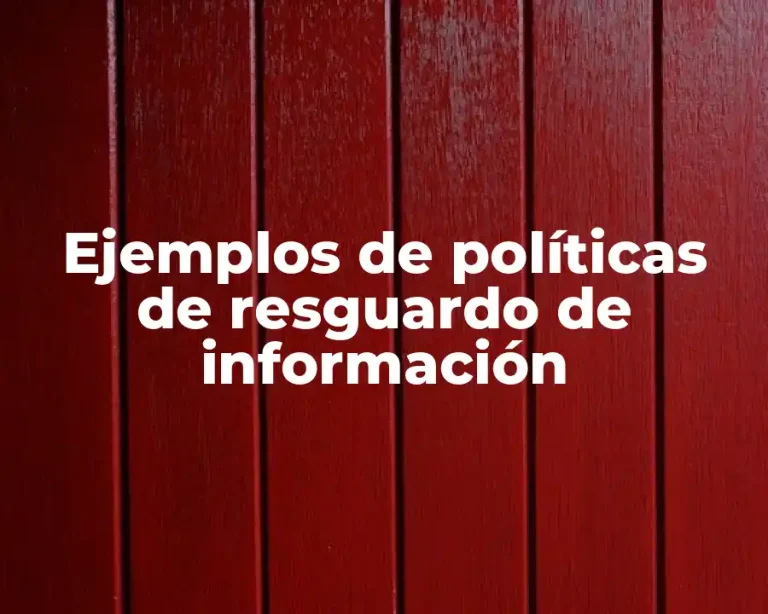 Ejemplos de políticas de resguardo de información
