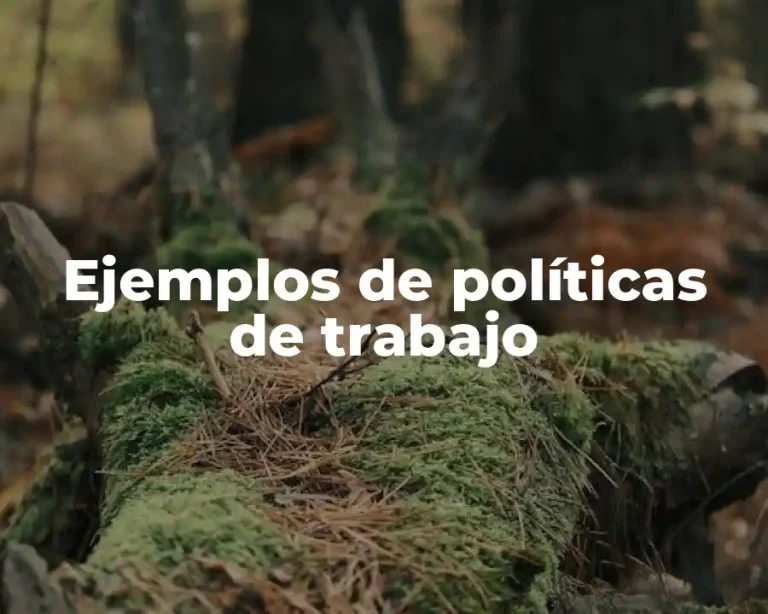Ejemplos de políticas de trabajo