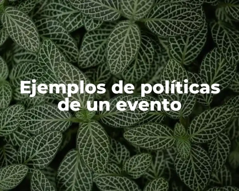 Ejemplos de políticas de un evento