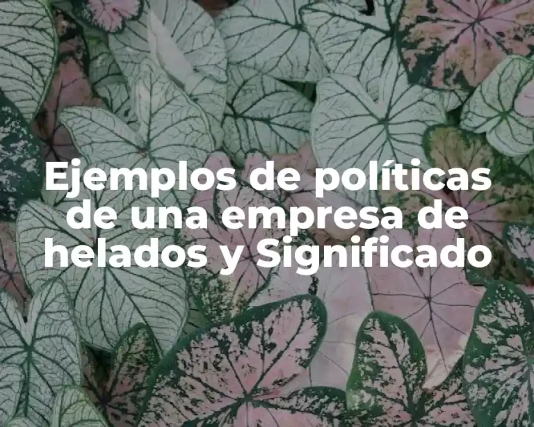 Ejemplos de políticas de una empresa de helados y Significado