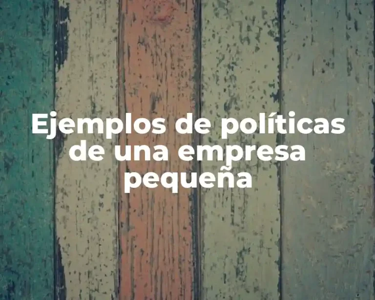 Ejemplos de políticas de una empresa pequeña