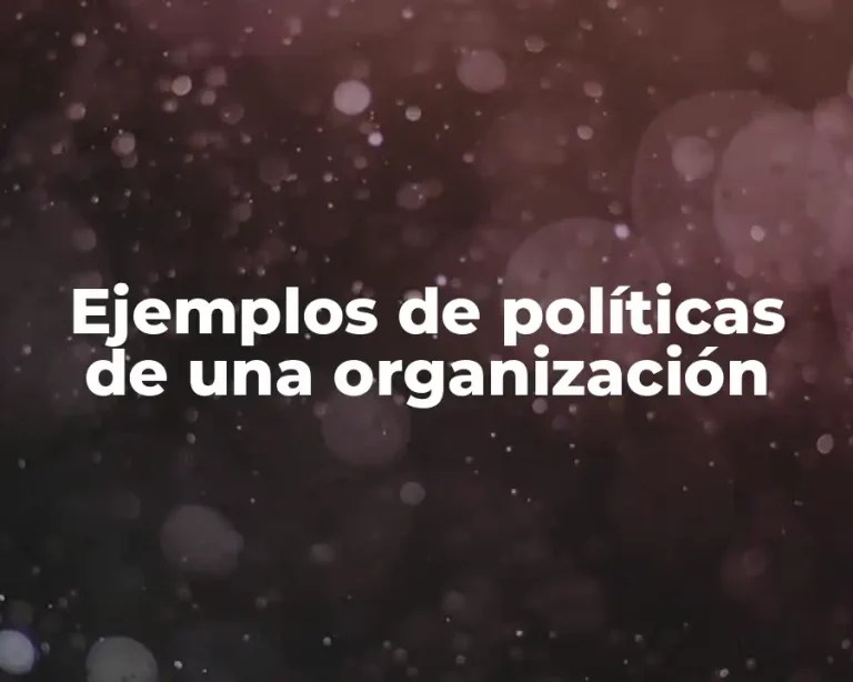 Ejemplos de políticas de una organización