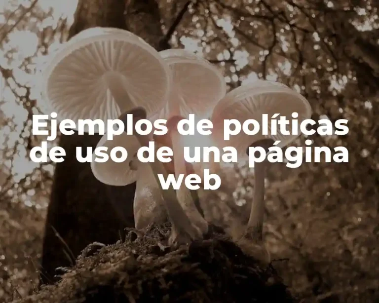 Ejemplos de políticas de uso de una página web