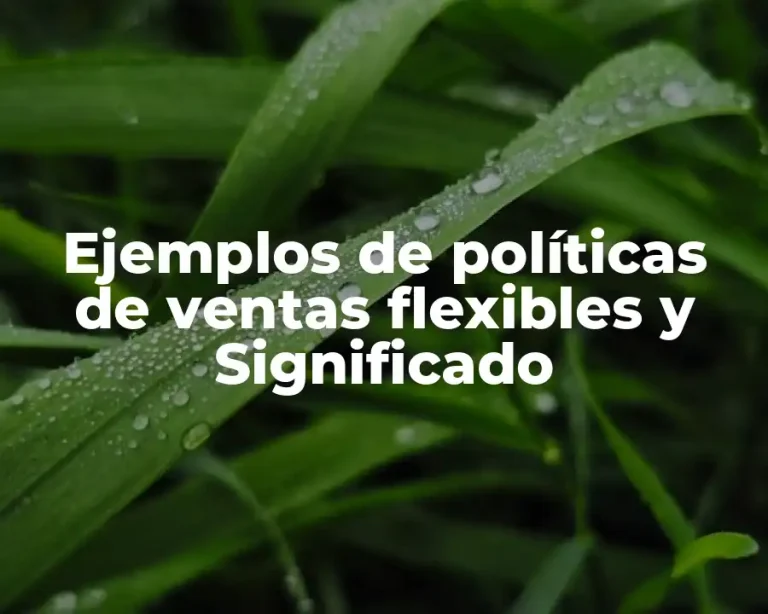 Ejemplos de políticas de ventas flexibles y Significado