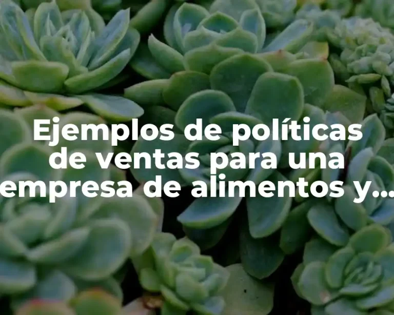 Ejemplos de políticas de ventas para una empresa de alimentos y Significado