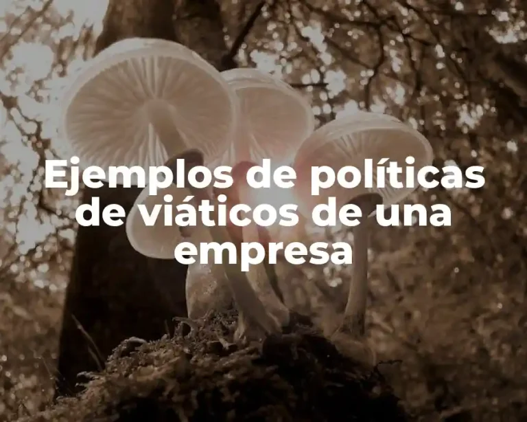 Ejemplos de políticas de viáticos de una empresa